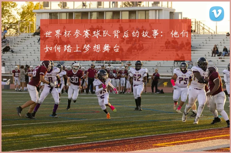世界杯参赛球队背后的故事:他们如何踏上梦想舞台