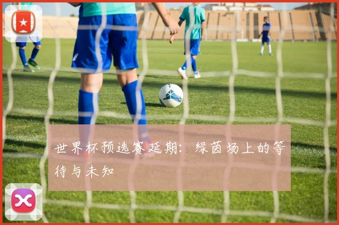 世界杯预选赛延期：绿茵场上的等待与未知