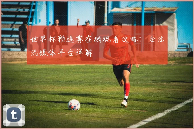 世界杯预选赛在线观看攻略：合法流媒体平台详解
