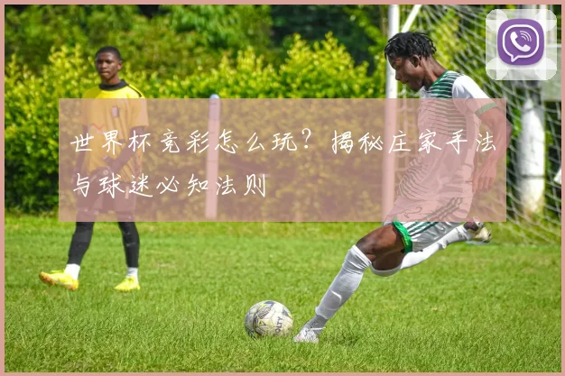 世界杯竞彩怎么玩？揭秘庄家手法与球迷必知法则