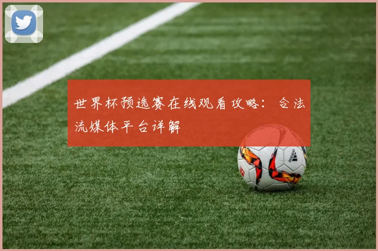 世界杯预选赛在线观看攻略:合法流媒体平台详解