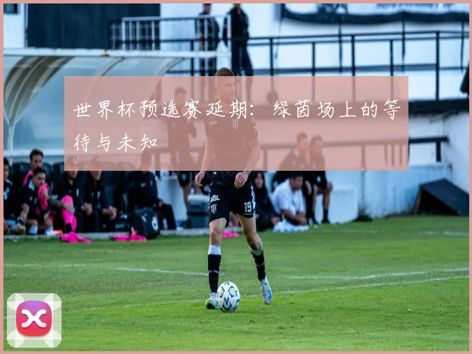 世界杯预选赛延期:绿茵场上的等待与未知