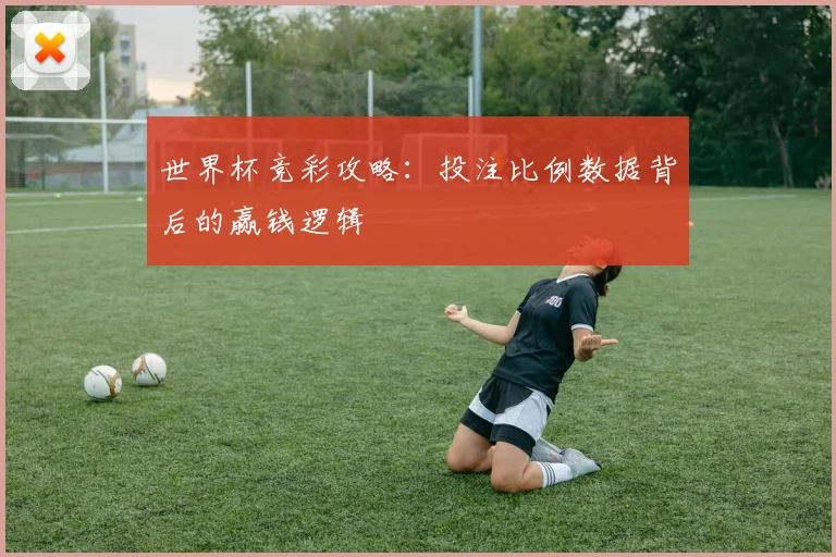 世界杯竞彩攻略：投注比例数据背后的赢钱逻辑