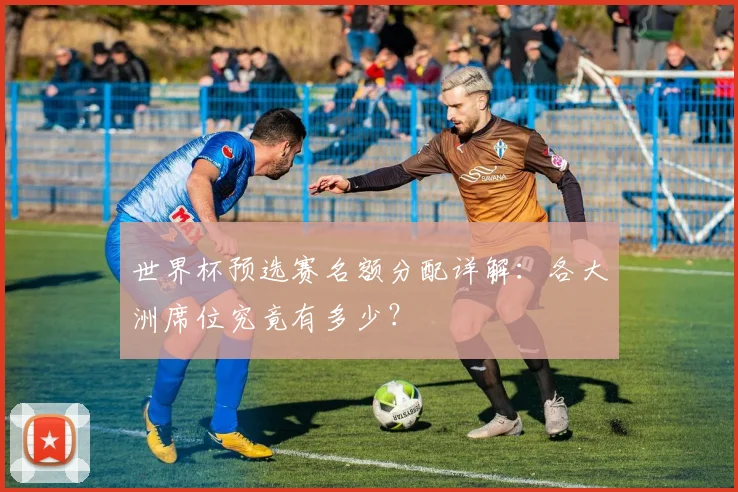 世界杯预选赛名额分配详解：各大洲席位究竟有多少？